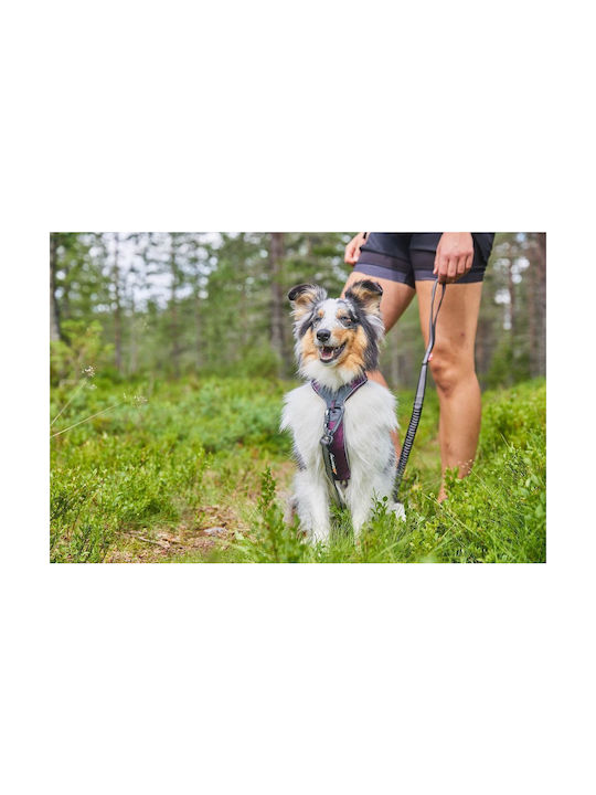 Non-stop dogwear Hundegeschirr Schwarz linebk4
