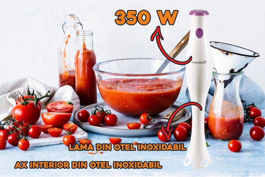 Hausberg HB-7669AB Ραβδομπλέντερ με Ανοξείδωτη Ράβδο 350W Μωβ