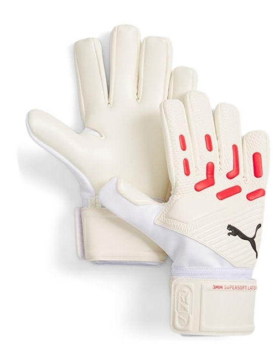 PUMA Future Match NC Adults Goalkeeper Gloves White