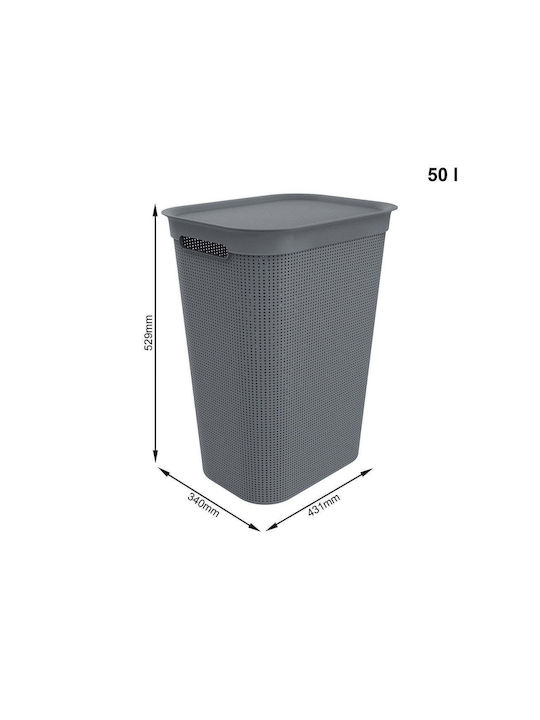 Rotho Babydesign Καλάθι Απλύτων Πλαστικό 50lt με Καπάκι 43.1x34x52.9cm Γκρι Rotho Babydesign Καλάθι Απλύτων Πλαστικό 50lt με Καπάκι 43.1x34x52.9cm Γκρι
