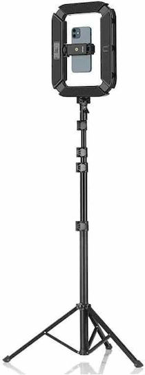 Ulanzi Ring Light with Mobile Holder