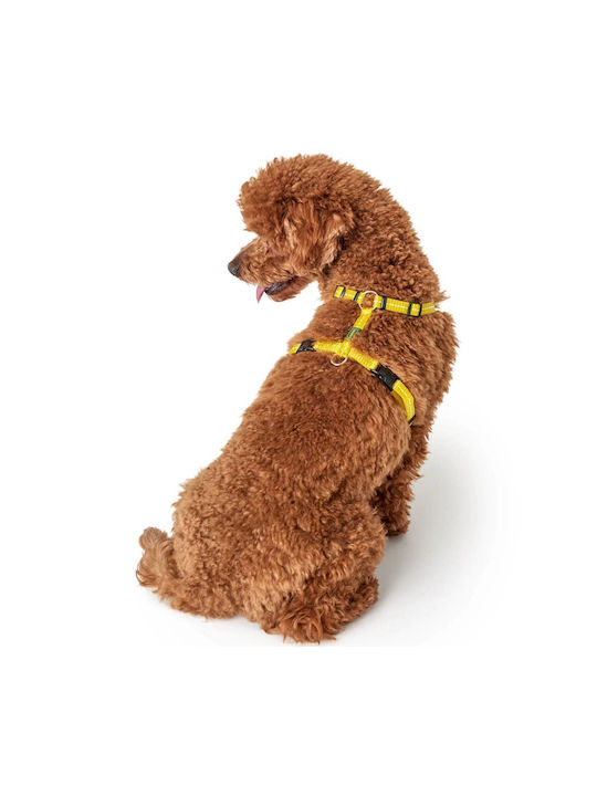 Hunter Harness