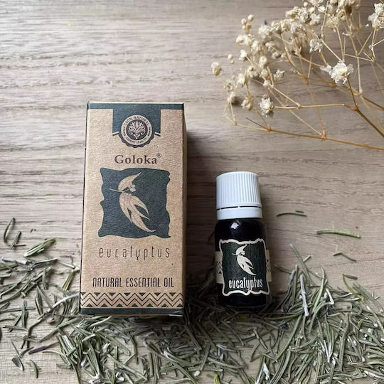 Goloka Natürliches Ätherisches Öl Eukalyptus 10ml