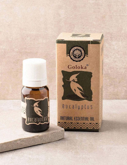 Goloka Natürliches Ätherisches Öl Eukalyptus 10ml