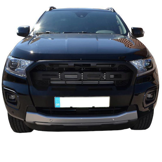 Carner Dekorative Auto Maske
