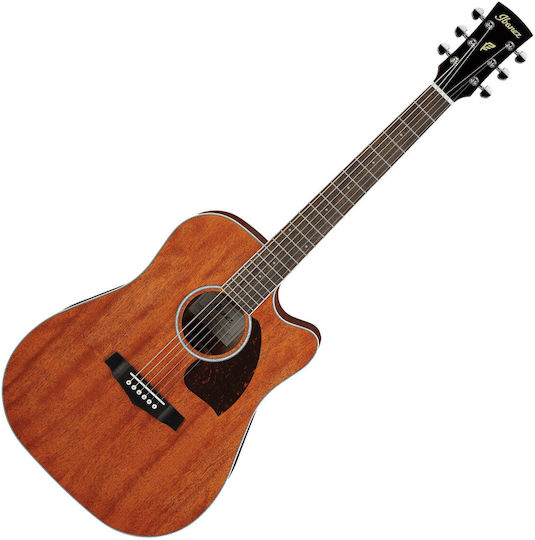 Ibanez Semi-Acoustic Guitar Natural / Open Pore