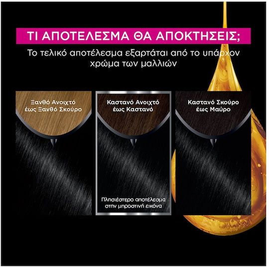 Garnier Olia Боя за коса без амоняк 1.0 Дълбокочерно