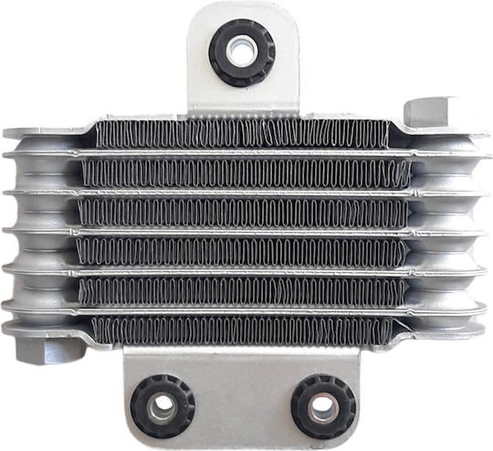 Cardinals Motorcycle Oil Engine Radiator Yamaha Crypton-X 135