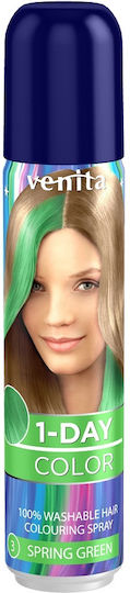 Venita 1-day Color Coloring Hair Spray Spring Green 50ml