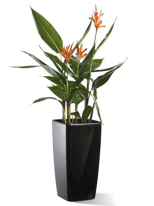 Pot Hydrostab Square Tall 22 Irrigation System Drainage Water Level Indicator 22x22x41 cm Colour Crystal White