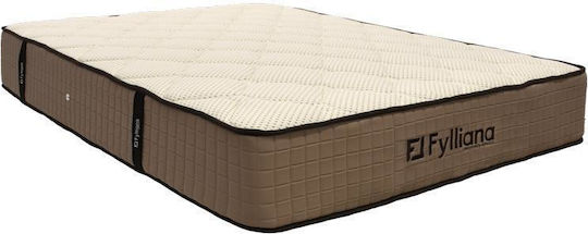 Fylliana Luxury Semi-double Anatomic Saltea 110x200x30cm