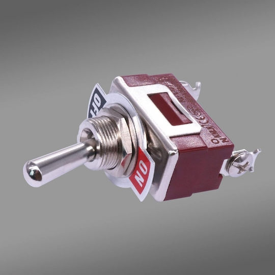 Διακόπτης On/Off Αυτοκινήτου 12V-24V