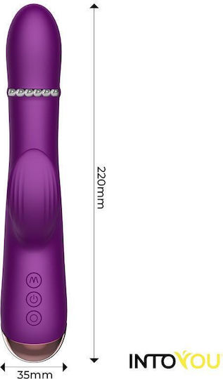 IntoYou Sendel Vibe Up Down Internal Beads Ring Pulsation Rabbit Vibrator with Remote Control 22cm Purple