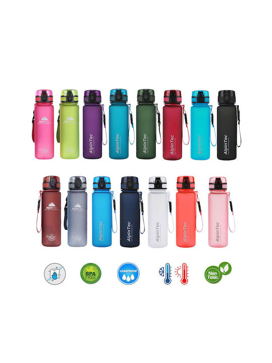 AlpinPro Style S500rs Sticla de apa Plastic 500ml Violet