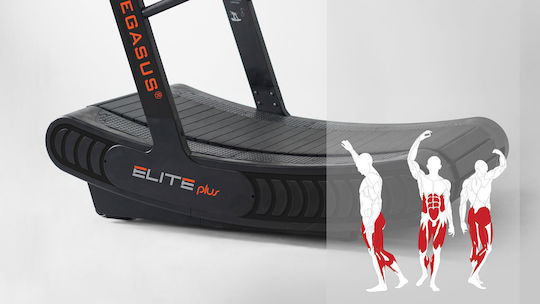 Pegasus Elite Plus Магнитни Тротоарна лента за Потребител до 180кг
