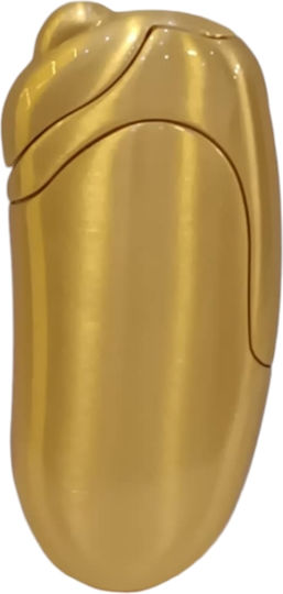 Pierre Cardin Αναπτήρας Flamme in Gold Farbe