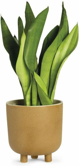 Alexandra House Living Vase Keramik Beiges 18x18cm Alexandra House Living Vase Keramik Beiges 18x18cm