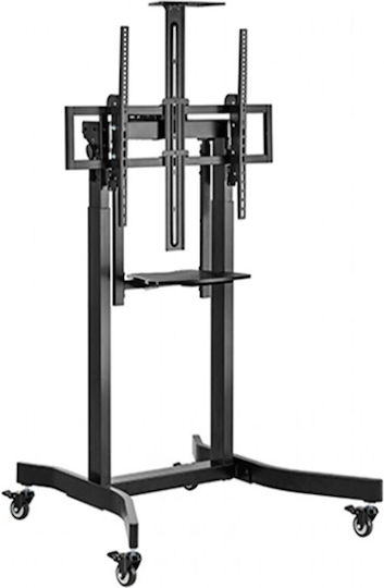 Gembird TVS-100T-01 TV Mount Floor up to 100"