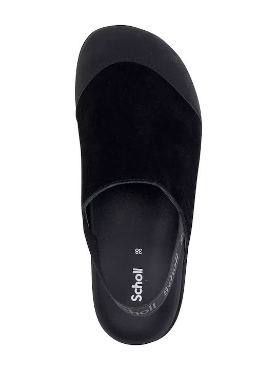 Scholl Scholl