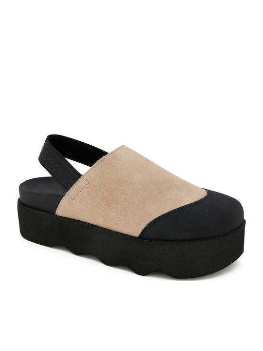 Scholl