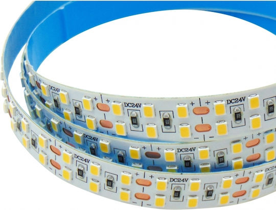 Wellmax Ταινία LED 24V Φυσικό Λευκό Φως 5m Τύπου SMD2835