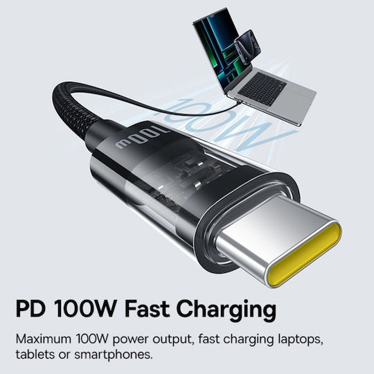 Baseus Ladekabel USB 2.0 USB-C männlich - USB-C 100W PD Schwarz 2m