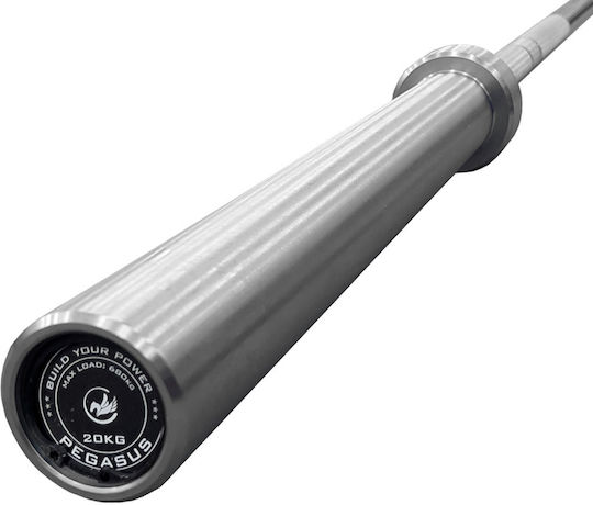 Pegasus Gerade Olympia-Style Stangengewicht Φ50 20kg Länge 220cm mit Sicherheitskragen