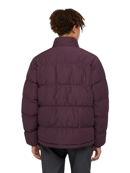 Dickies Jacket Puffer Plum Perfect