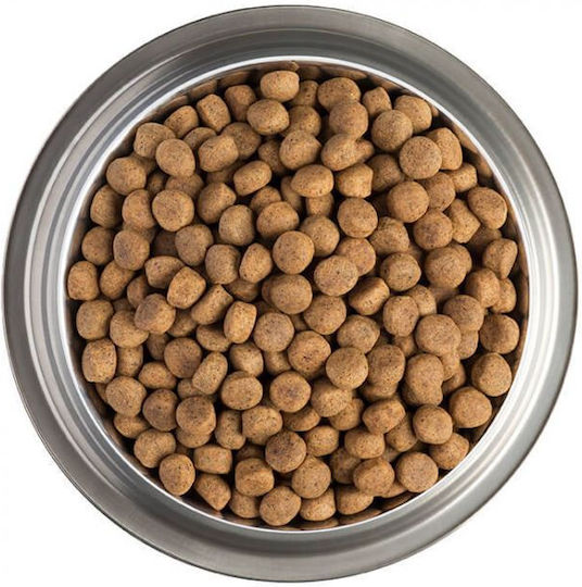 Pro Plan Veterinary Diets DRM Derma Management 12kg Ξηρά Τροφή χωρίς Γλουτένη για Ενήλικους Σκύλους με Ψάρια