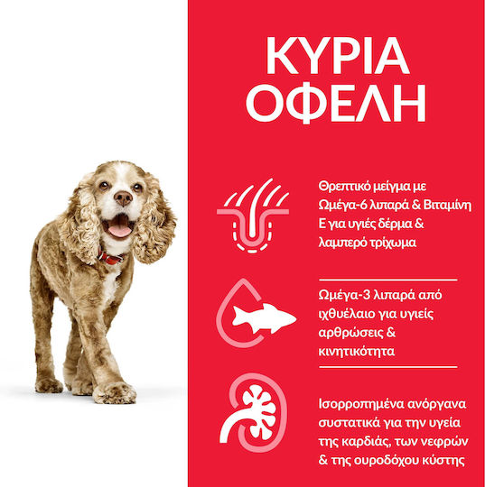 Hill's Science Plan Senior 11+ Small & Mini 1.5кг Суха Храна за Възрастни Кучета от Малки Породи с Пилешко