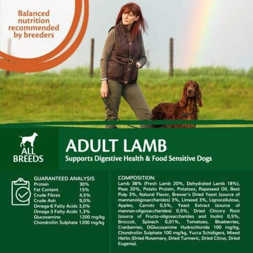 Wellness Core Adult Lamb 10kg Ξηρά Τροφή χωρίς Σιτηρά για Ενήλικους Σκύλους με Αρνί