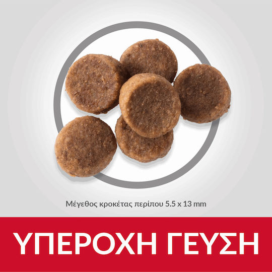 Hill's Science Plan Puppy 14.5kg Hrană Uscată pentru Căţei de Rase Mari cu Pui