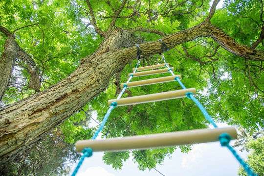 Rope Ladder Climbing