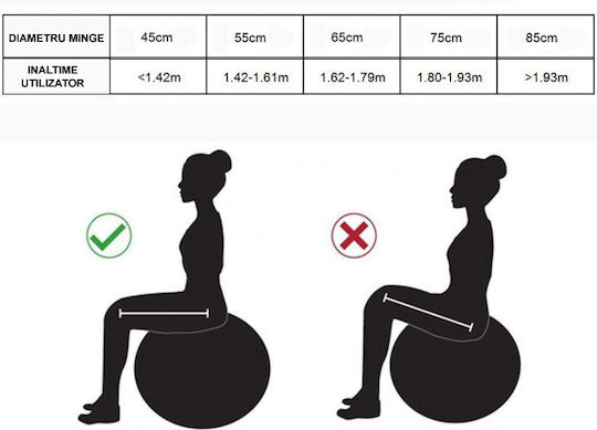 Μπάλα Pilates 75cm σε Γκρι Χρώμα