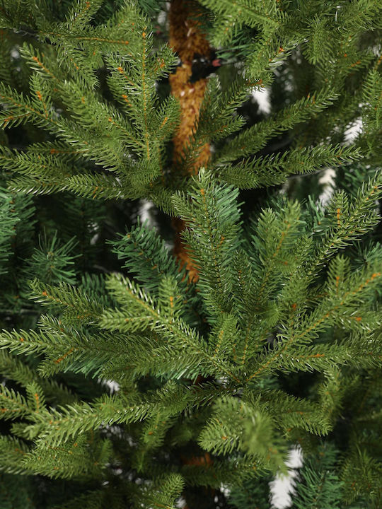 Δέντρο Fir