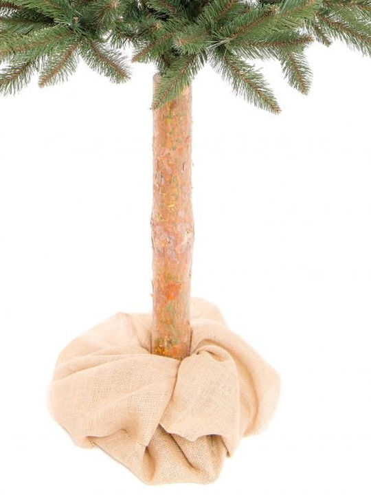 Weihnachtsbaum 120cm im Topf
