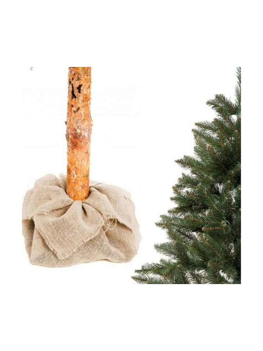 Christmas Tree 160cm in Pot