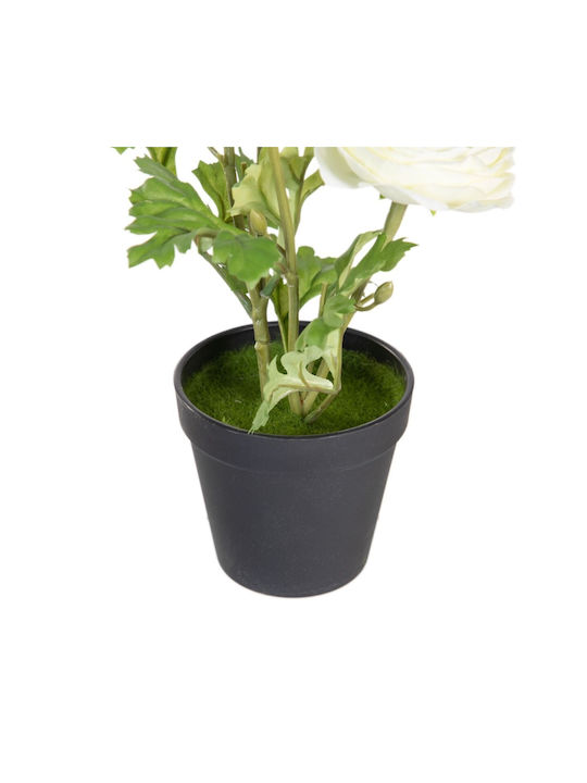 BigBuy Decorative Artificial Plant Black 36cm