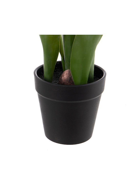 BigBuy Decorative Artificial Plant Black 31cm