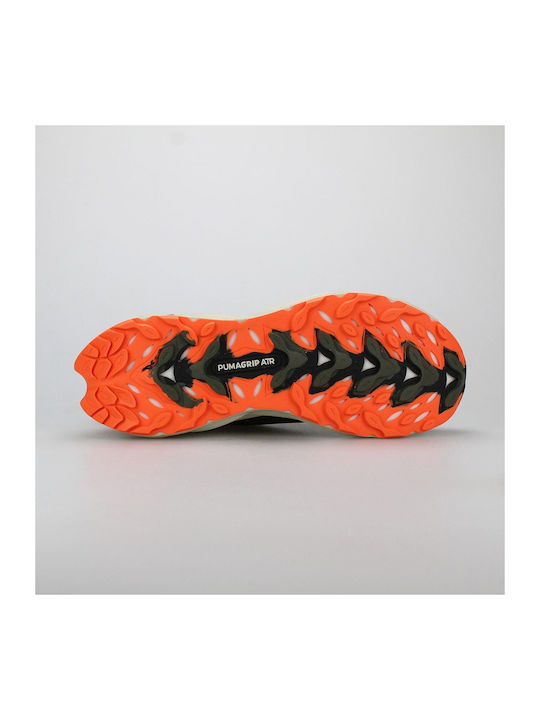 Fast-Trac Nitro 3 Sport Shoes Running Green