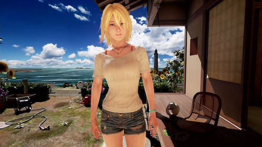 Summer Lesson: Allison Snow & Shinjo Chisato PS4 Game