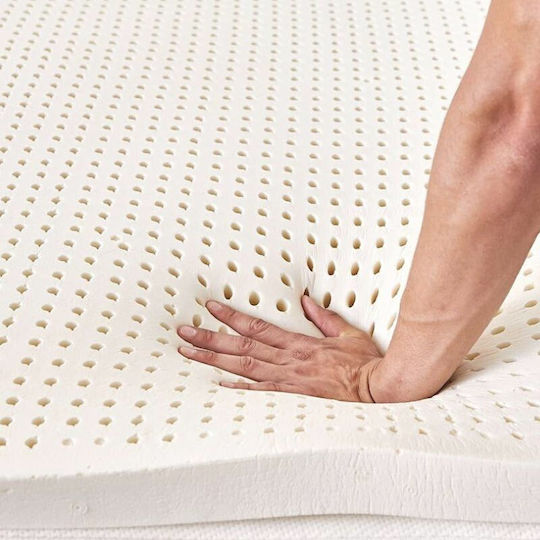 Jgs S.a Latex Sheet 160cm X 200cm X 20cm
