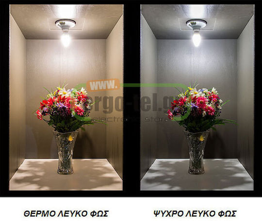 Atman LED-Lampe 5W 100mm für Fassung E14 und Form C35 Warmes Weiß 260lm