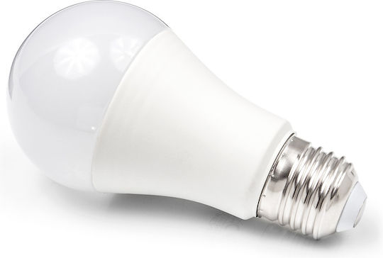 Eco Light Λάμπα LED 15W για Ντουί E27 και Σχήμα A60 Ψυχρό Λευκό 1350lm