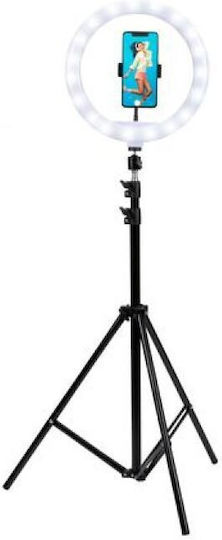 Grundig Grundig Ringlicht 30,48cm