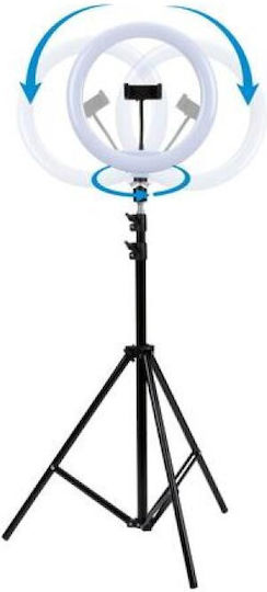 Grundig Grundig Ringlicht 30,48cm