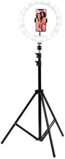 Grundig Grundig Ringlicht 30,48cm