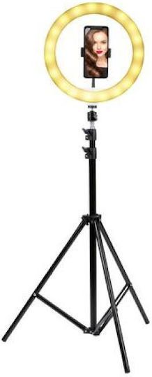 Grundig Grundig Ringlicht 30,48cm