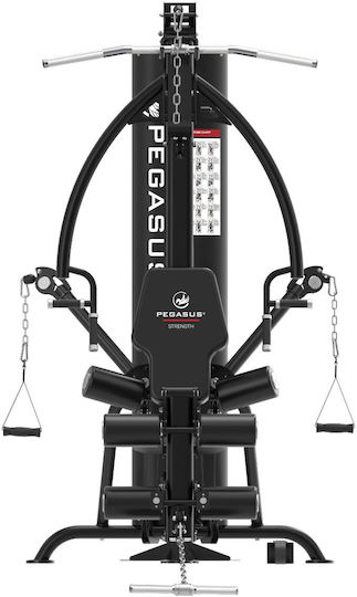 Pegasus HG8 Πολυόργανο Γυμναστικής με Βάρη 90kg