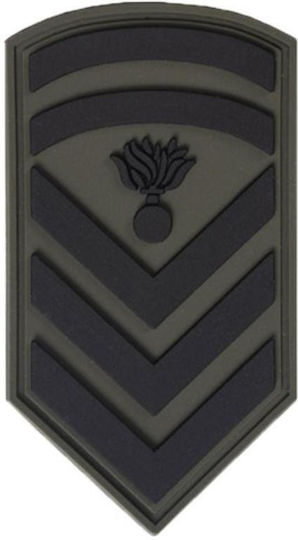 All About Army Σήμα Σωμάτων Ασφαλείας Υπαξιωματικών Αποφοίτων ΣΜΥ Στολής Παραλλαγής 010587